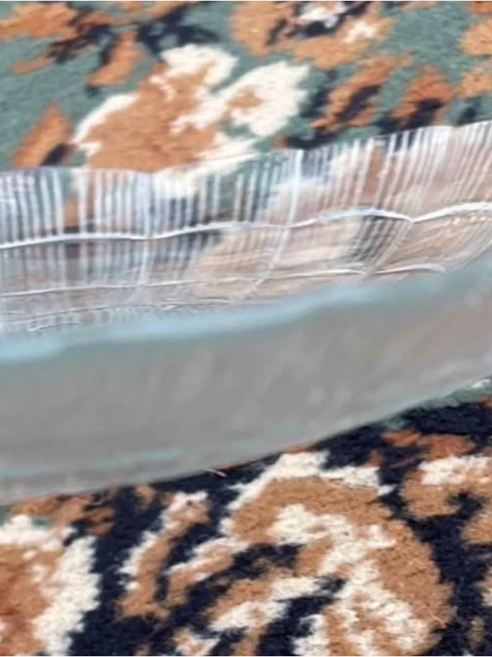 VTG Pasabahce Seashell Swirl Atlantis Pattern Clear Glass Oval Dinner/Platter